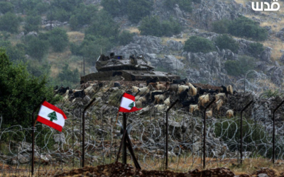 To denounce the targeting of civilians   Uphold the obligations of the International Humanitarian Law  Preventing Lebanon from being utilized as a battleground for furthering regional interests